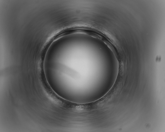 X0000091470064200708161407