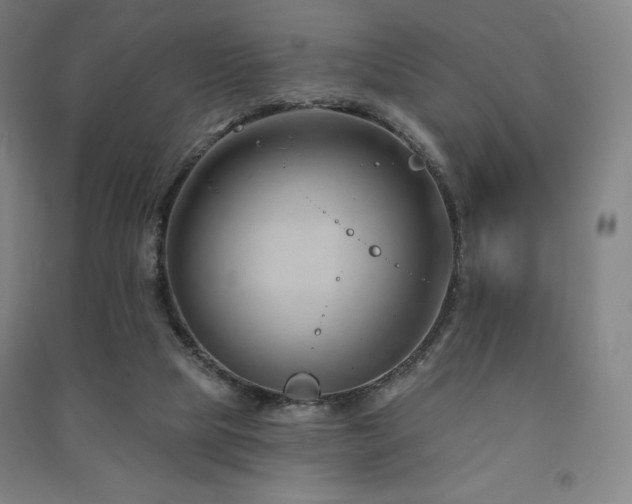 X0000091470065200708161407