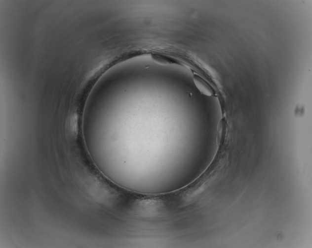 X0000091470067200708161407