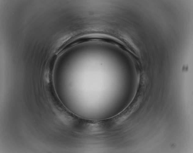 X0000091470068200708161407