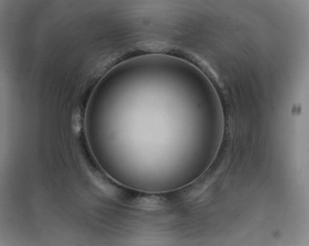 X0000091470069200708161407