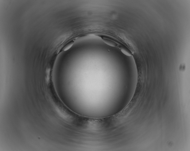 X0000091470070200708161407