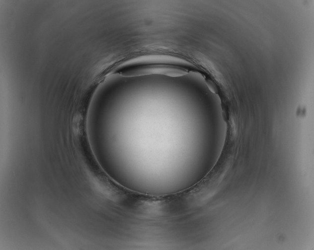 X0000091470071200708161407