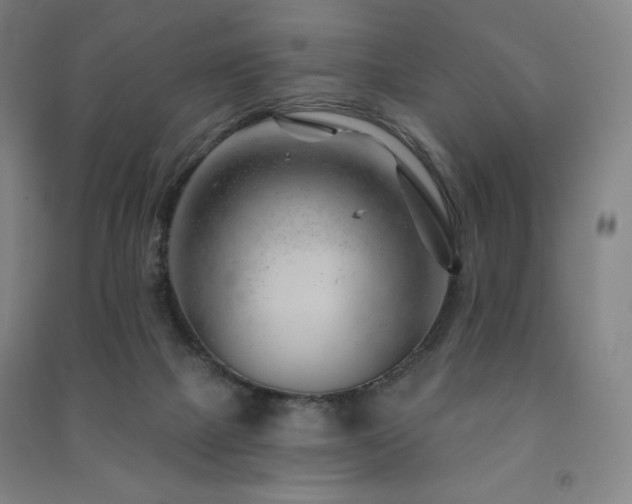 X0000091470073200708161407