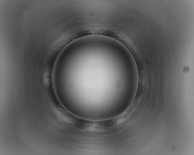 X0000091470074200708161407