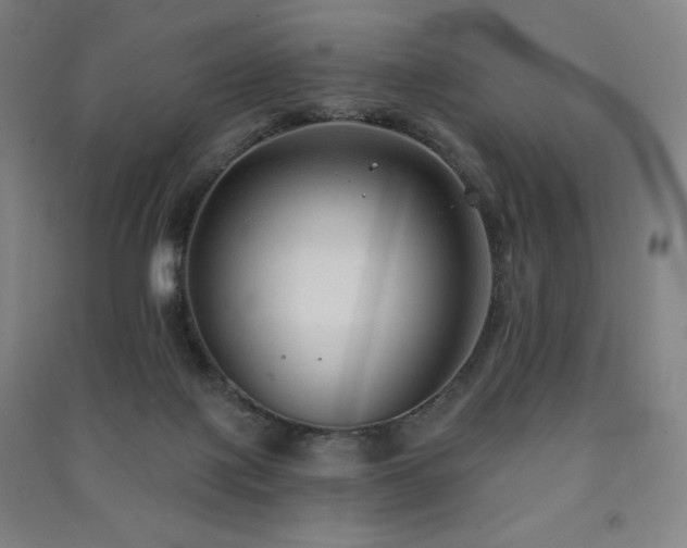 X0000091470075200708161407