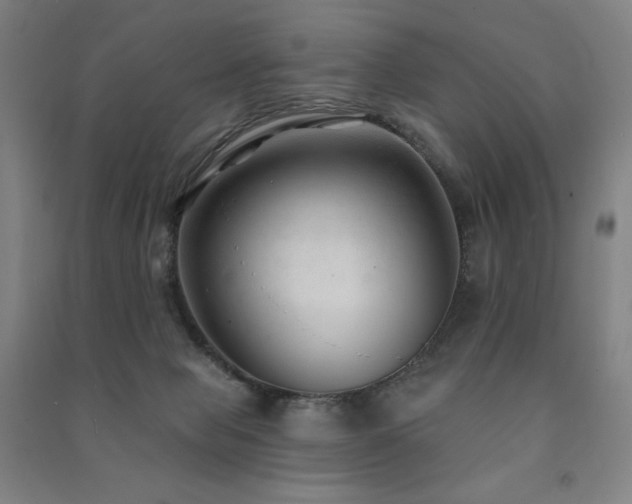 X0000091470077200708161407