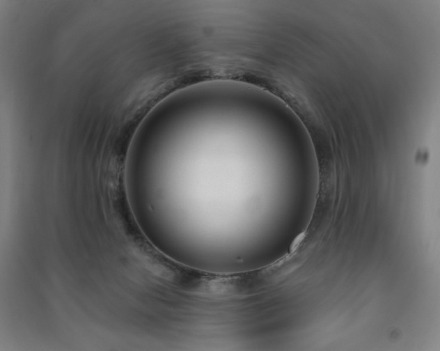 X0000091470078200708161407