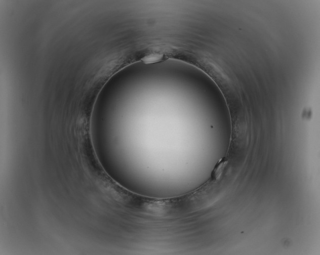 X0000091470079200708161407