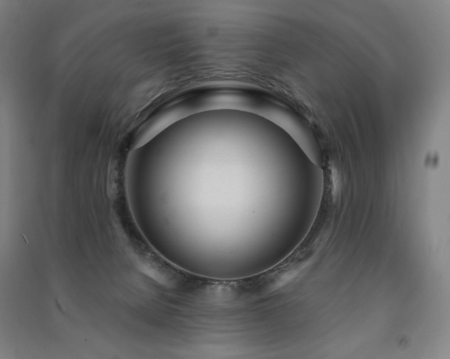 X0000091470080200708161407