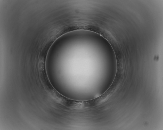 X0000091470083200708161407