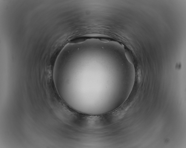 X0000091470085200708161407