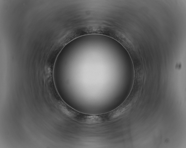 X0000091470087200708161407