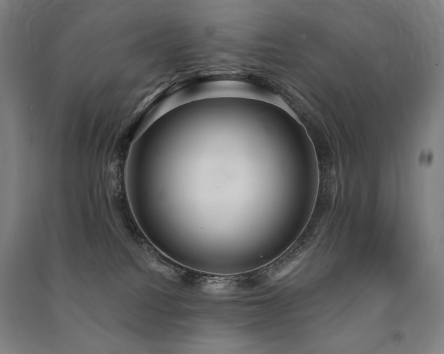 X0000091470088200708161407