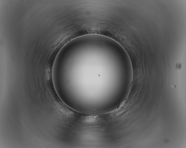 X0000091470090200708161407