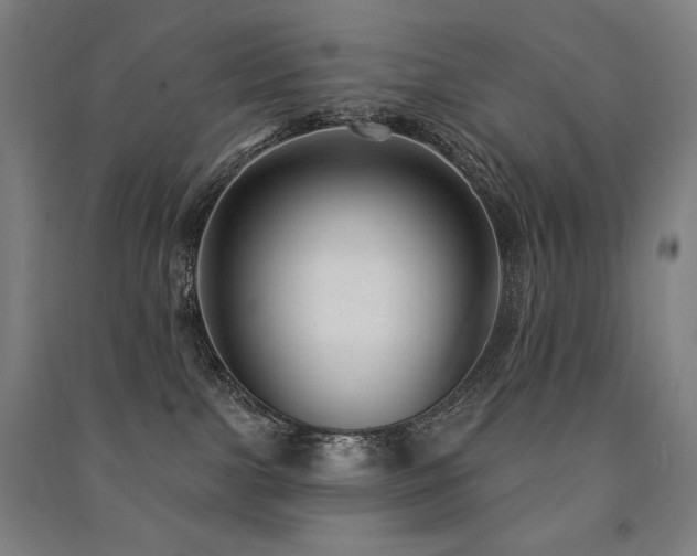 X0000091470091200708161407