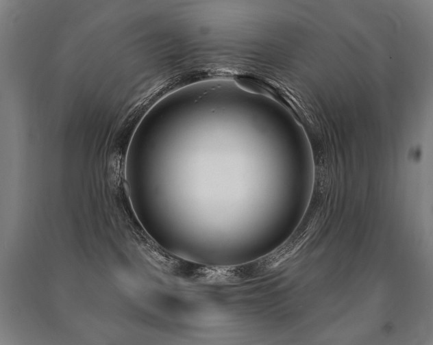 X0000091470093200708161407