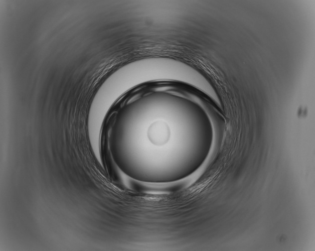 X0000091470096200708161407