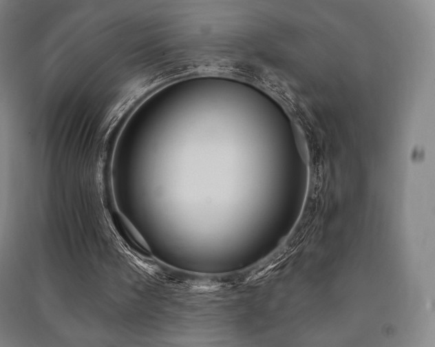 X0000091470098200708161407