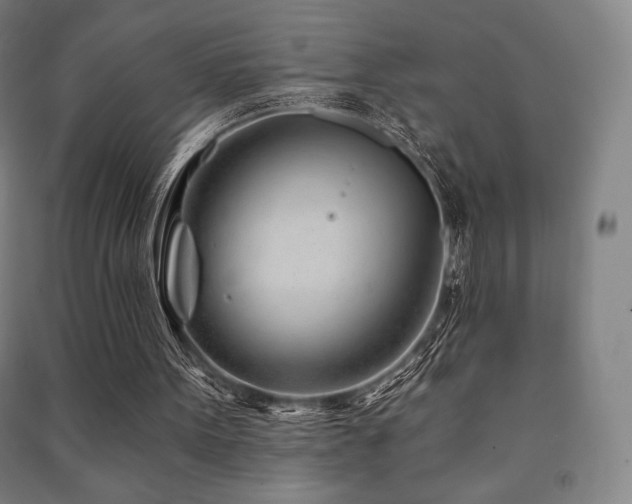 X0000091470099200708161407