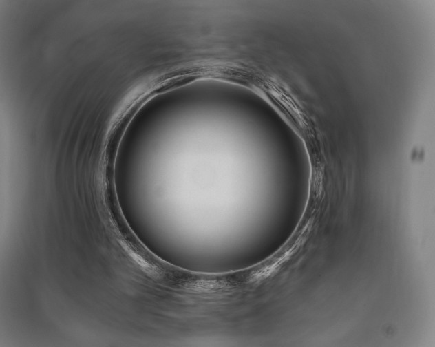 X0000091470101200708161407