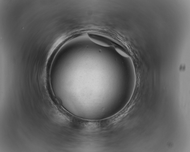 X0000091470102200708161407