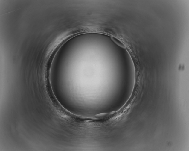 X0000091470103200708161407