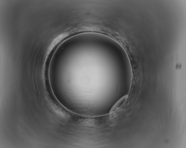 X0000091470104200708161407