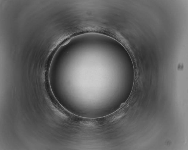 X0000091470106200708161407