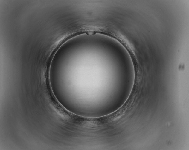 X0000091470107200708161407