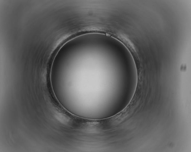 X0000091470108200708161407