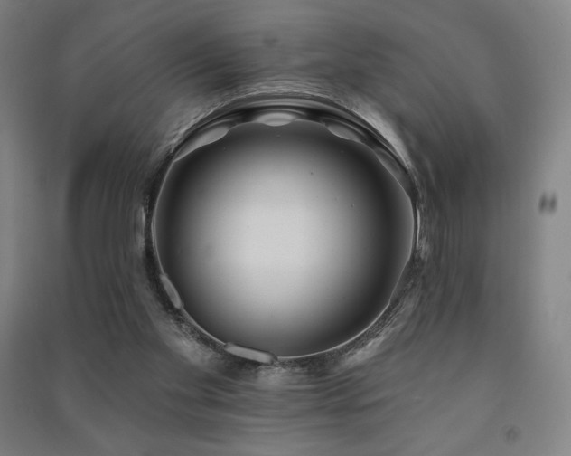 X0000091470109200708161407