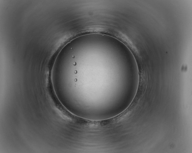 X0000091470110200708161407