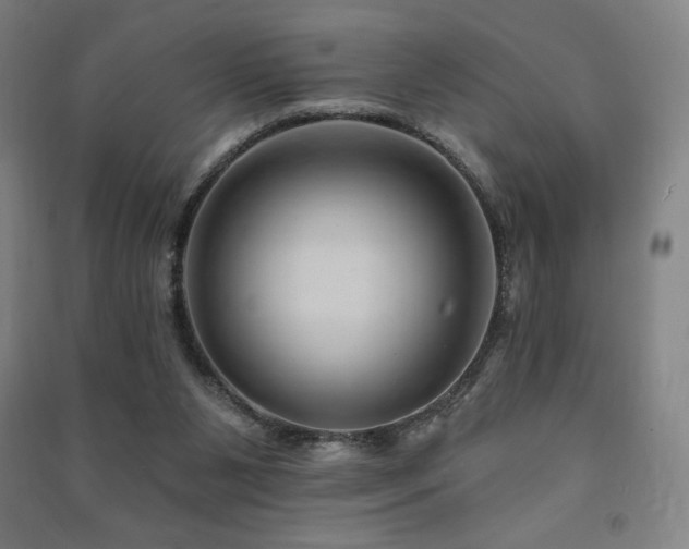 X0000091470111200708161407