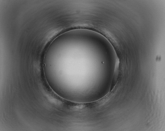 X0000091470112200708161407