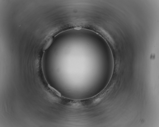 X0000091470113200708161407