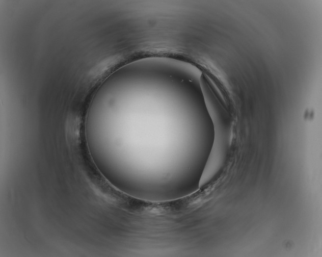 X0000091470115200708161407