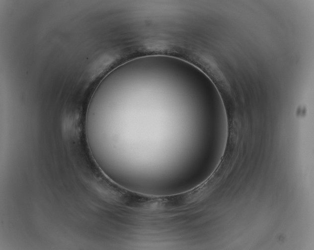 X0000091470116200708161406