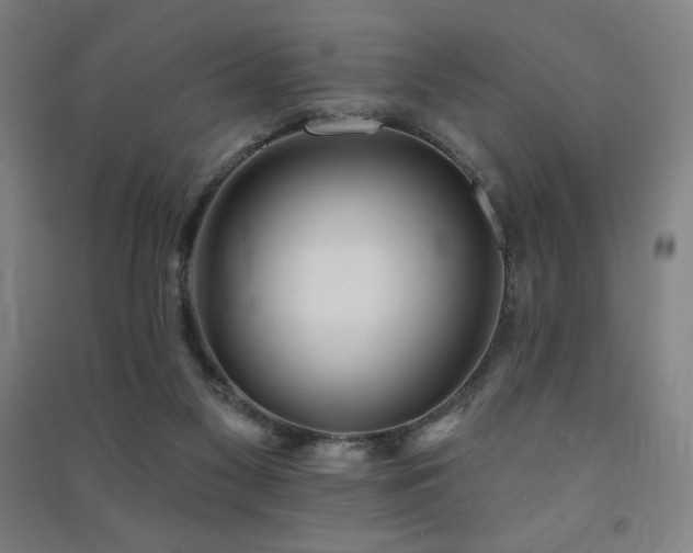 X0000091470117200708161406