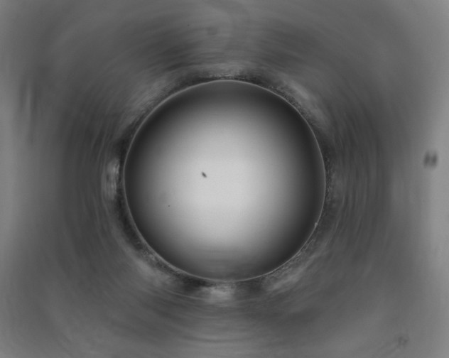 X0000091470118200708161406