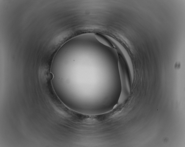 X0000091470119200708161406