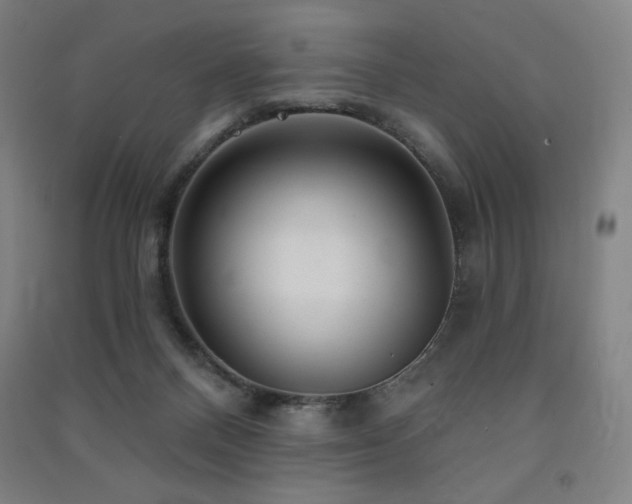 X0000091470120200708161406