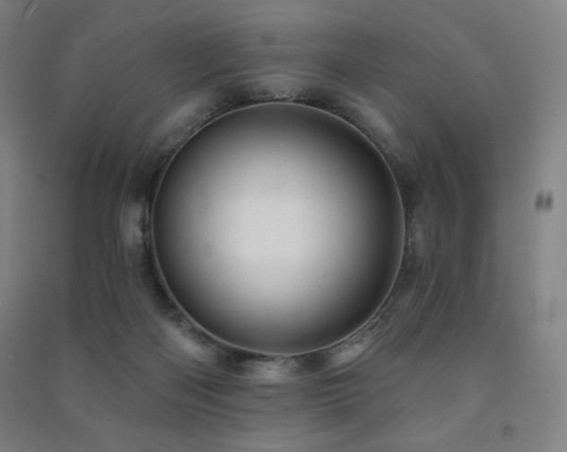 X0000091470122200708161406