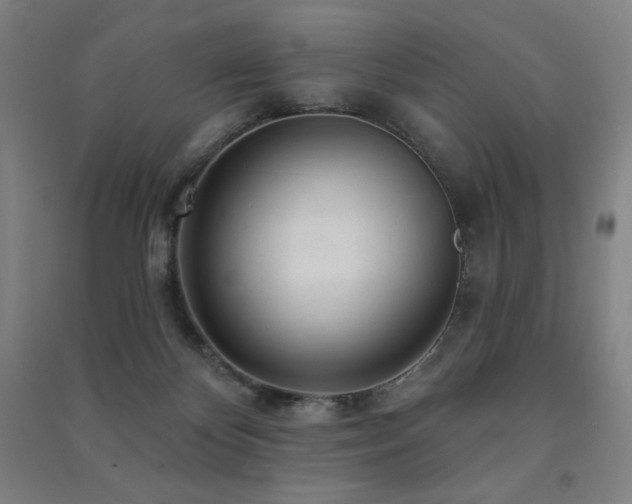 X0000091470124200708161406