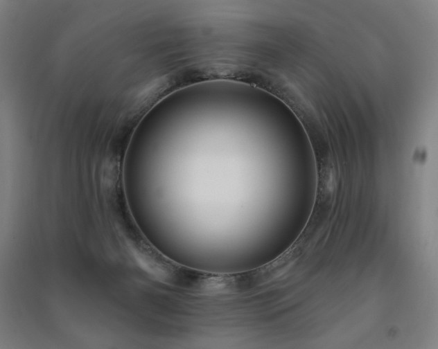 X0000091470126200708161406