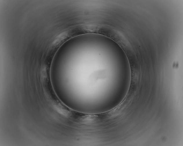 X0000091470128200708161406