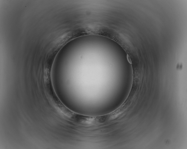 X0000091470130200708161406