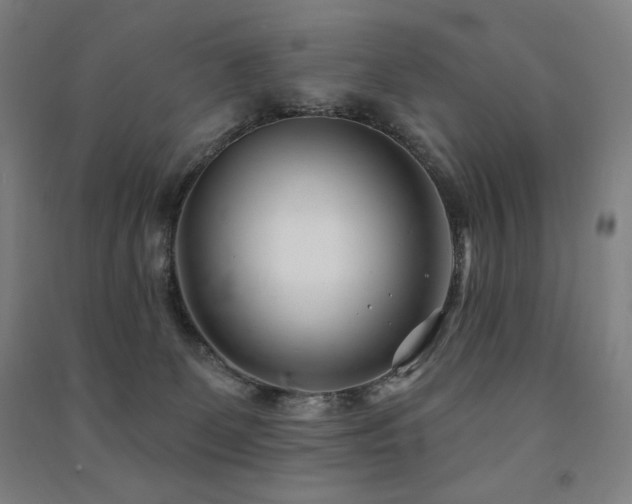 X0000091470131200708161406