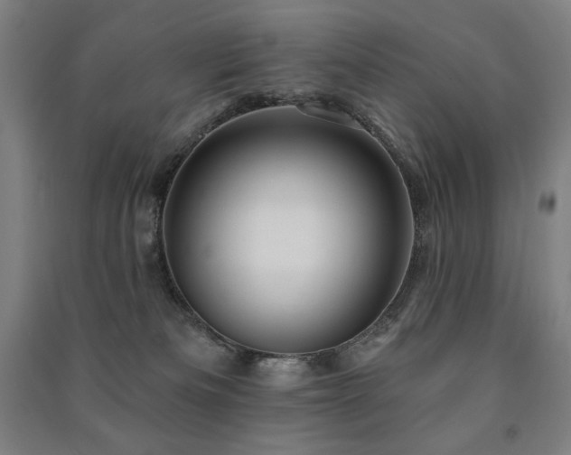 X0000091470133200708161406