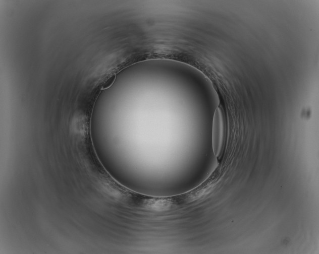 X0000091470135200708161406